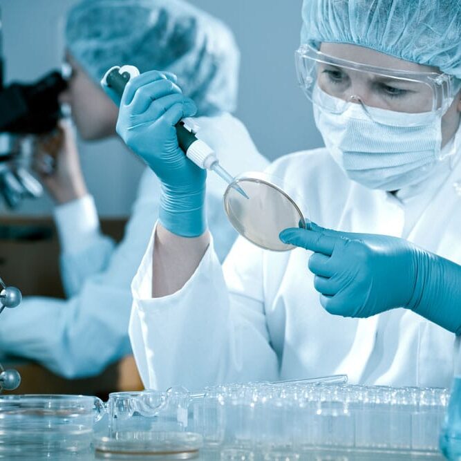 Life Sciences & Pharmaceutical